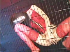 Amateur, Mamada, Japonés, Lencería, Medias largas