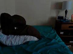 Texiest curvy categories