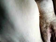 Enthousiasteling, Omie, Harig, Gezichtspunt