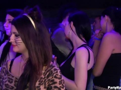 Grosse bite, Gros seins, Habillées, Queue, Femelle, Orgie, Collant, Echangistes