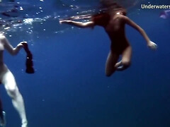 Sea Adventures On Tenerife Underwater