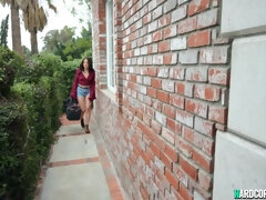 Anal, Sucer une bite, Brunette brune, Hard, Femme au foyer, Cuisine, Actrice du porno