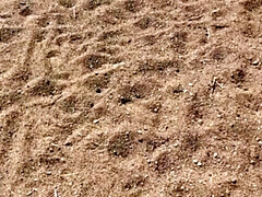 Mr MF's Mature British Granny Shows Off Her Big Natural Tits and Pussy Outside in HD