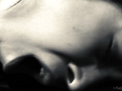 Gaslighting 2 - Anna Rose & Paula Shy