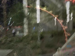 Culo, Cuarto de baño, Novia, Pequeña, Pezones inflados, Afeitado, Fumando, Bajo la falda