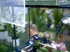 Grosser arsch, Grosse titten, Hd, Milf, Öffentlich