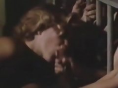 Amateur, Blonde, Sucer une bite, Groupe, Poilue, Rétro ancien