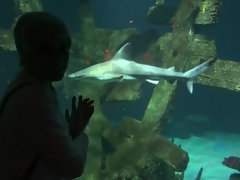 Bad, Schmutzig, Freundin, Höschen, Muschi, Rasiert, Kurzes haar, Titten