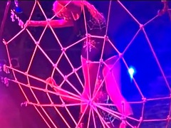 Большие сиськи, Черные, Блондинки, Черненькие, Порнозвезда, Рыжие, Сиськи