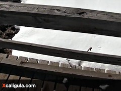 Hunting and Fishing Prohibited - Blowjobs are OK - Azzurra