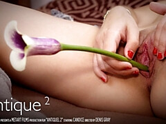 18 jahre, Blondine, Süss, Hundestellung, Hd, Masturbation, Orgasmus, Solo