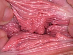 Tussi