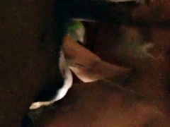 Enthousiasteling, Anaal, Grote lul, Zwart, Hardcore, Shemale, Slet, Zuigen