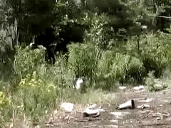 デカパイ, 茶髪の, ぽちゃ, 女, オナニー, 小柄, オッパイの, おもちゃ