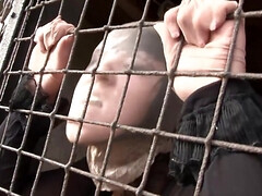 Красотки, Минет, Брюнетки, Семяизвержение, Лизание, На природе, Колготки, Сосущие