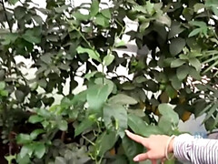 Amateur, Hd, Pov, Rasée, Maigrichonne, Fumer, Tatouage