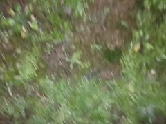 In den arsch, Füsse, Fetisch, Hd, Latina, Natürlichen titten, Im freien, Muschi