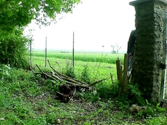 Leie, Schwarz, Hardcore, Hausfrau, Milf, Im freien