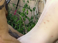 Mamada, Gay, Hd, Al aire libre