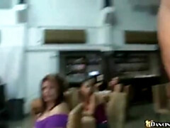 Zwart, Pijpbeurt, Bruinharig, Orgie, Feest