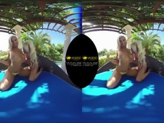 Hd, Lesbiana, Coño