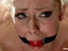 In den arsch, Schönheit, Blondine, Blasen, Süss, Schwanz, Natürlich, Titten