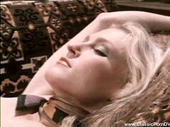 Poilue, Lesbienne, Mère que j'aimerais baiser, Rétro ancien