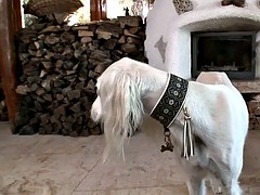 Hardcore, Flotter dreier