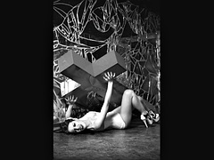 Bondage discipline sadomasochisme, Zweeds