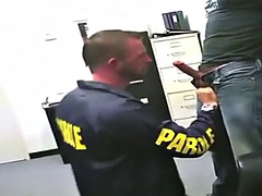 フェラチオ, ゲイ, ウェブカメラ