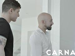 Lamer culo, Verga grande, Rubia, Mamada, Atragantadas, Latina, Músculo, Tatuaje