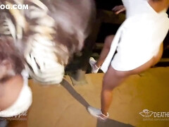 Grote lul, Diep in de keel, Lul, Hd, Buiten, Gezichtspunt, Kut duiken, Trio