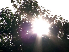 Asiatisch, Arsch, Tussi, Grosser arsch, Blasen, Braunhaarige, Muschi, Titten