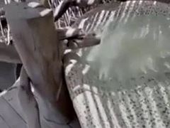 Grote lul, Zwart, Bruinharig, Hardcore, Interraciaal, Latijnse vrouw, Rijden, Tiener