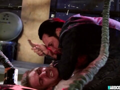 Anal, Grosse bite, Gros seins, Plantureuse, Hard, Lingerie, Actrice du porno, Nénés