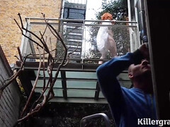 Anaal, Grote kont, Grote lul, Grote mammen, Bruinharig, Rondborstig, Rijpe lesbienne, Natuurlijke tieten