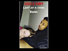 Толстушки, Большой член, Черные, Блондинки, Черненькие