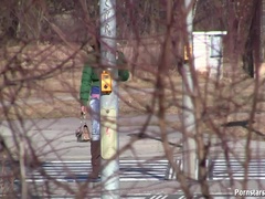 Doesn't Get Any More Public Than This Piss