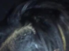 Amateur, Noire, Sucer une bite, Noir ébène, Hd