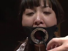 Bondage discipline sadomasochisme, Stel, Japaans, Slipje