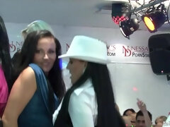 Chica, Loco, Erótico, Pajear, Sexo duro, Orgía, Fiesta, Tetas