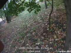 フェラチオ, 茶髪の, 手コキする, アウトドア, ハメ撮り, 公共, ティーン