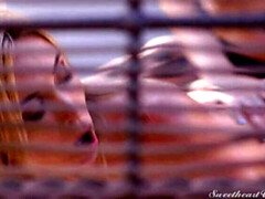 Blonde, Gode, Robe, Embrassement, Lesbienne, Chatte, String, Nénés