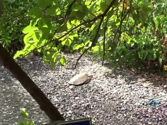 Amateur, Doigter, Exhib, Petite amie, Poilue, Orgasme, Pov, Chatte