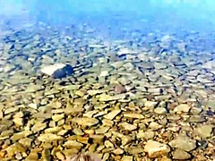 Amateur, Playa, Rubia, Mamada, Estilo perrito, Casero, Al aire libre, Coño