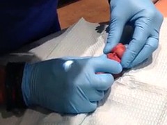 Getting Cock pierced PA