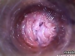 Tchèque, Fétiche, Béant, Solo