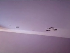 Amateur, Anal, Holandés, Sexo duro