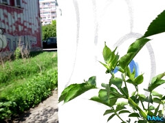 Leie, Grosse titten, Kehlenfick, Aufs gesicht abspritzen, Masturbation, Im freien, Öffentlich, Tätowierung
