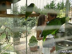Blondine, Blasen, Vollbusig, Küssen, Muschi, Dürr, Jungendliche (18+), Titten